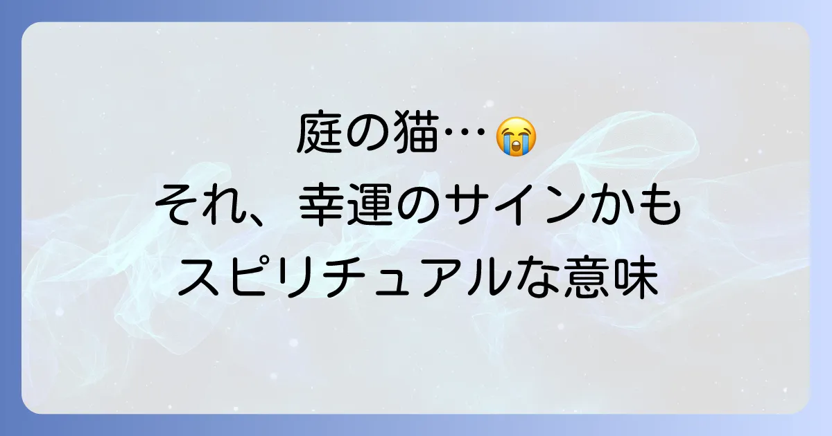 庭で猫が死んでいた…スピリチュアルな意味とは?幸運の兆し?それとも警告?