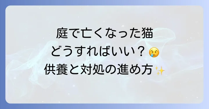庭で亡くなった猫を見つけた時の正しい対処法と供養