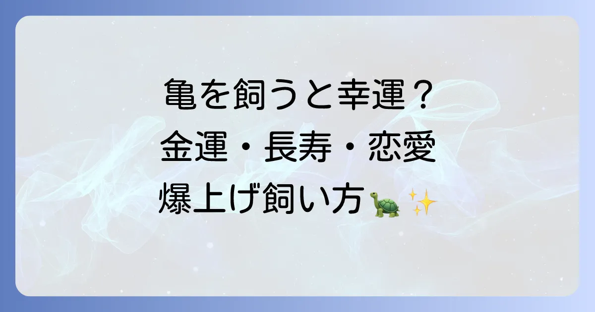 亀を飼うと幸運が訪れる？スピリチュアルな意味と驚きの効果！金運・長寿・恋愛運を爆上げする飼い方を徹底解説