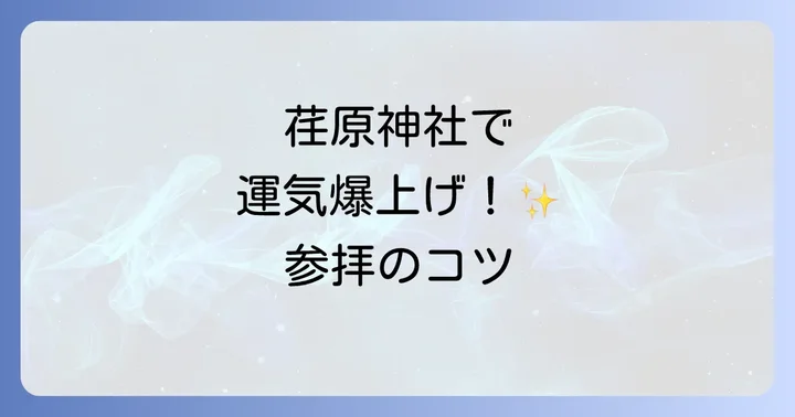 荏原神社のスピリチュアルな力を最大限にいただく参拝方法