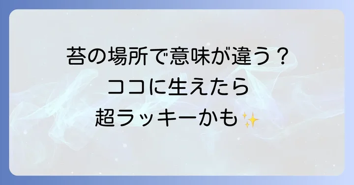 【場所別】苔が生えるスピリチュアルなメッセージ