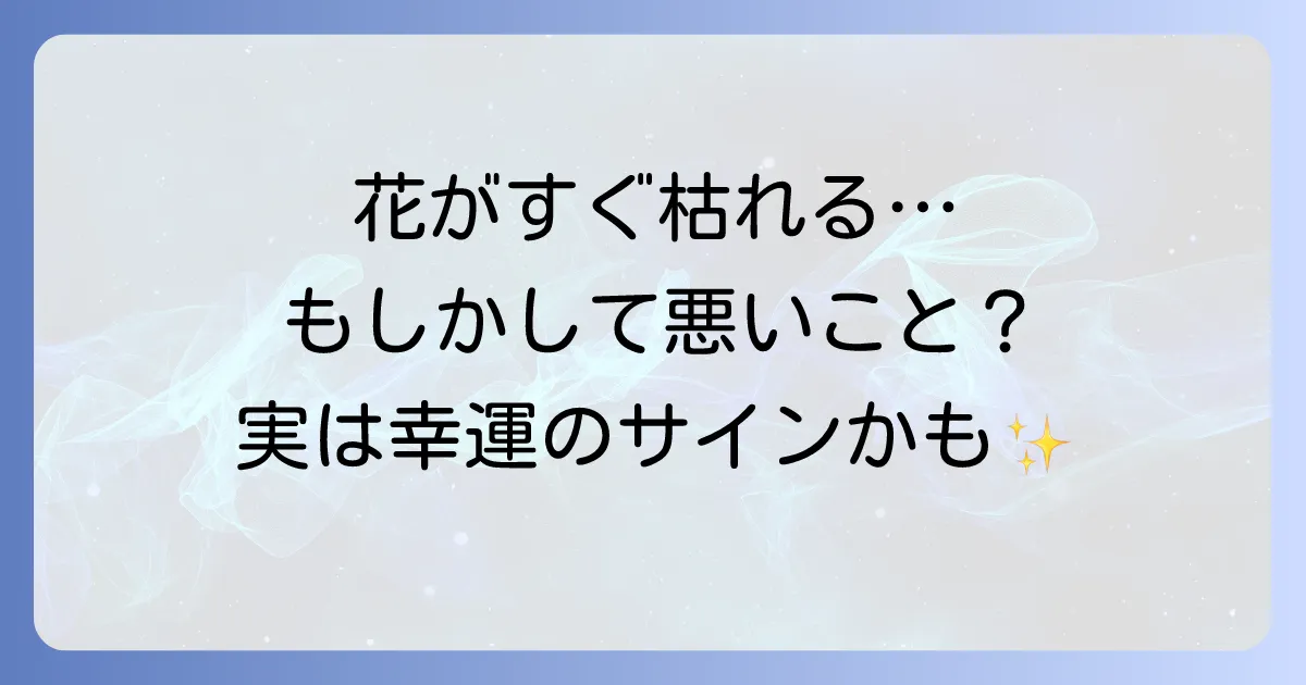 花がすぐ枯れるのはスピリチュアルなサイン？隠された意味と対処法を徹底解説