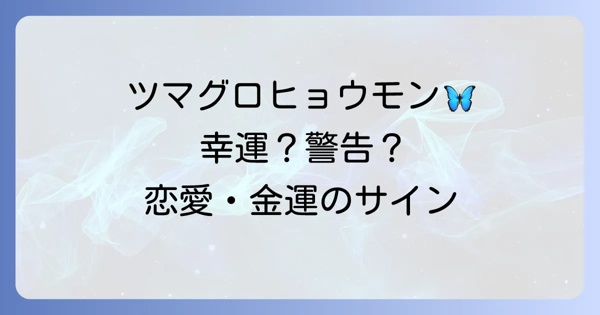 ツマグロヒョウモンのスピリチュアルな意味とは？幸運のサインか警告か、恋愛・金運のメッセージを解説