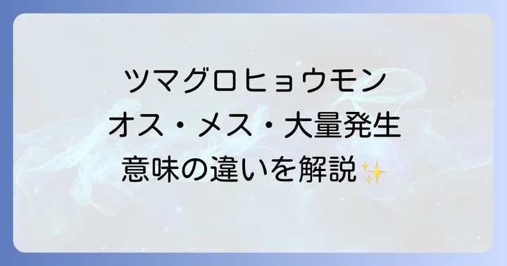 【特徴別】ツマグロヒョウモンのスピリチュアルな意味の違い