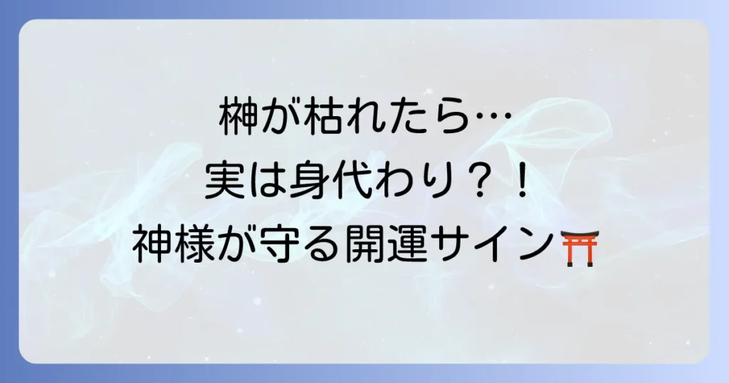 神棚の榊が枯れるスピリチュアルな意味とは？良い・悪いサインの見分け方と対処法を徹底解説