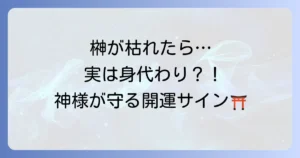 神棚の榊が枯れるスピリチュアルな意味とは？良い・悪いサインの見分け方と対処法を徹底解説