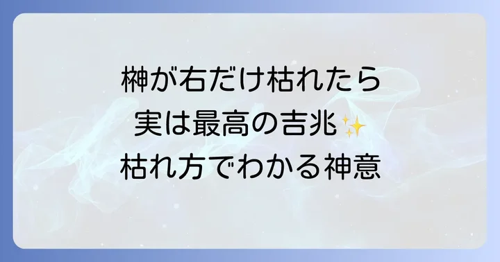 【状況別】榊の枯れ方が伝えるスピリチュアルメッセージ