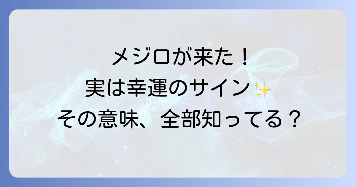 メジロが来る家は幸運のサイン？スピリ-チュアルな意味と縁起の良い前兆を徹底解説！