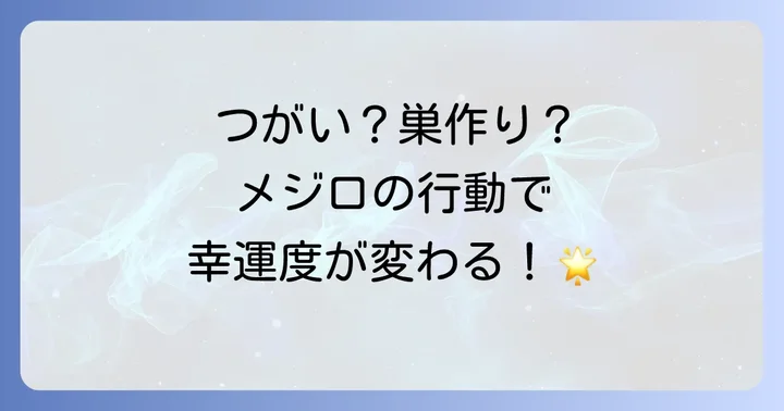 メジロの行動別スピリチュアルメッセージ