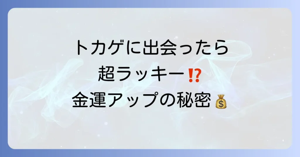 トカゲに出会うスピリ-チュアルな意味とは？幸運のサイン？色や場所別のメッセージを徹底解説！