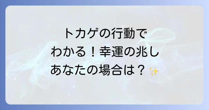 【状況・行動別】トカゲのスピリチュアルな意味