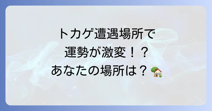 【場所別】トカゲに出会った時のスピリチュアルな意味