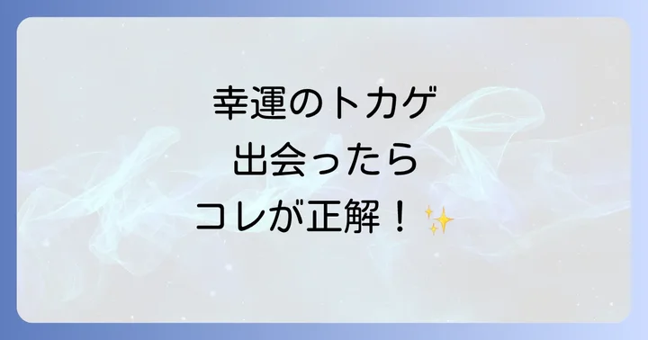 トカゲに出会ったら実践したいこと