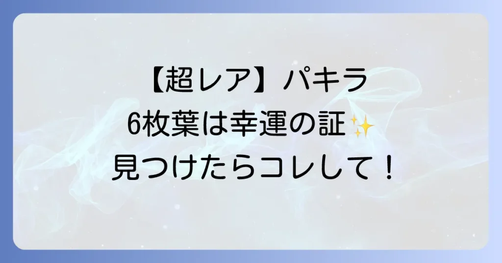 【幸運のサイン】パキラの葉っぱが6枚！スピリチュアルな意味と見つけた時の対処法を徹底解説