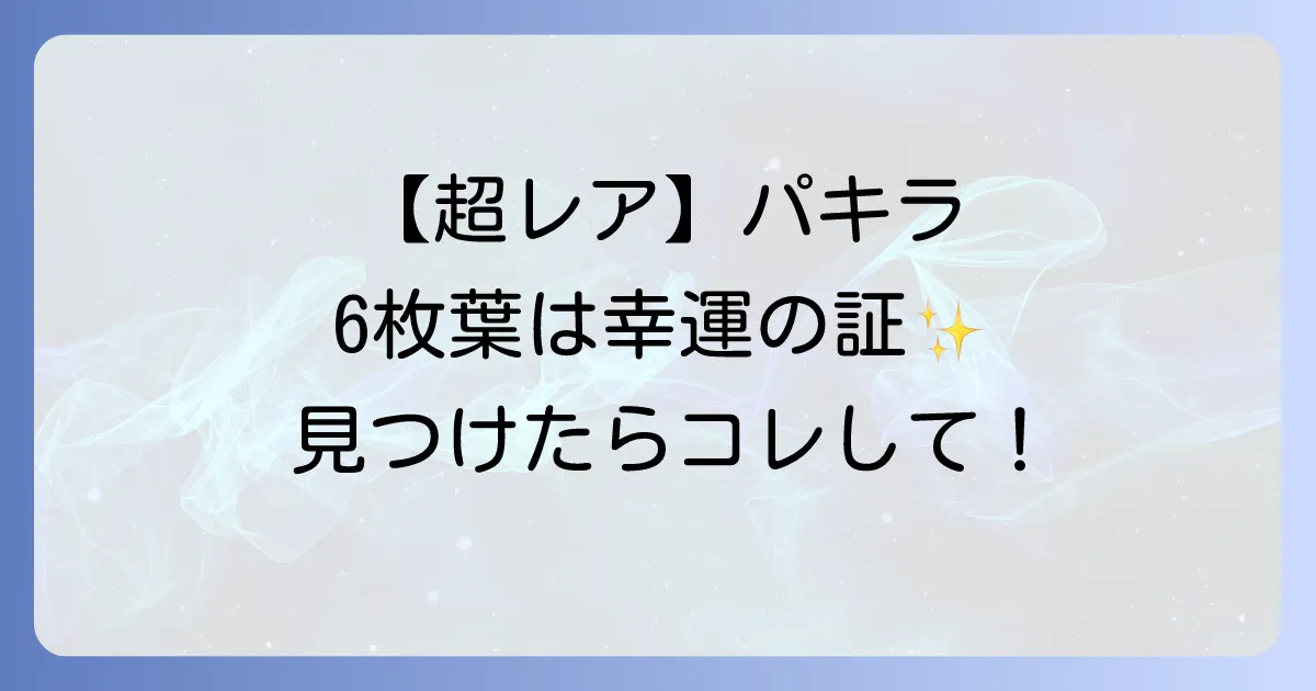 【幸運のサイン】パキラの葉っぱが6枚！スピリチュアルな意味と見つけた時の対処法を徹底解説