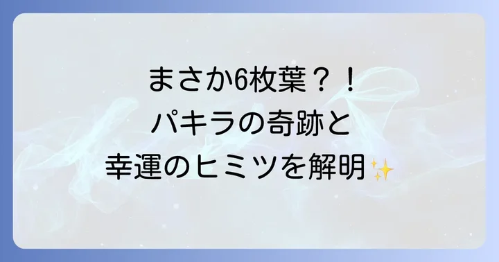 パキラの葉っぱが6枚なのは幸運のサイン?その珍しさと確率