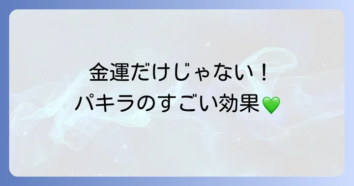 パキラが持つ本来の強力なスピリチュアルパワー