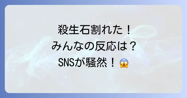 殺生石が割れた後のSNSでの反応や口コミ