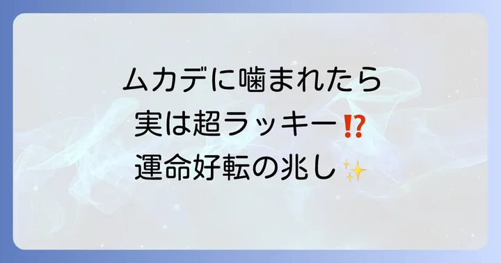 【結論】ムカдеに噛まれるのは幸運のサイン!スピリチュアルな意味を解説