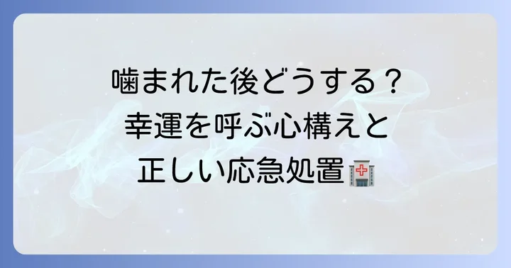 ムカデに噛まれた後にすべきこと【スピリチュアル編・現実編】