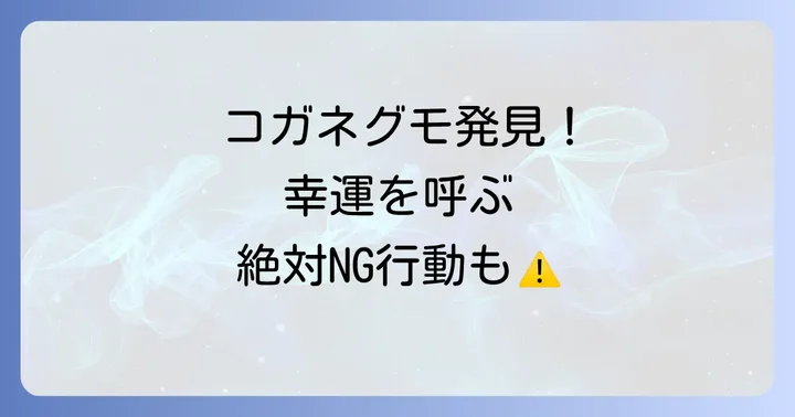 コガネグモを見つけたらどうする?幸運を逃さないためのポイント