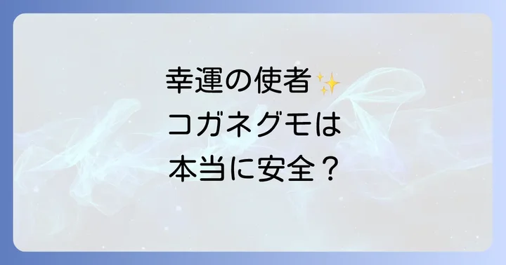 本当は怖くない?コガネグモの生態と特徴
