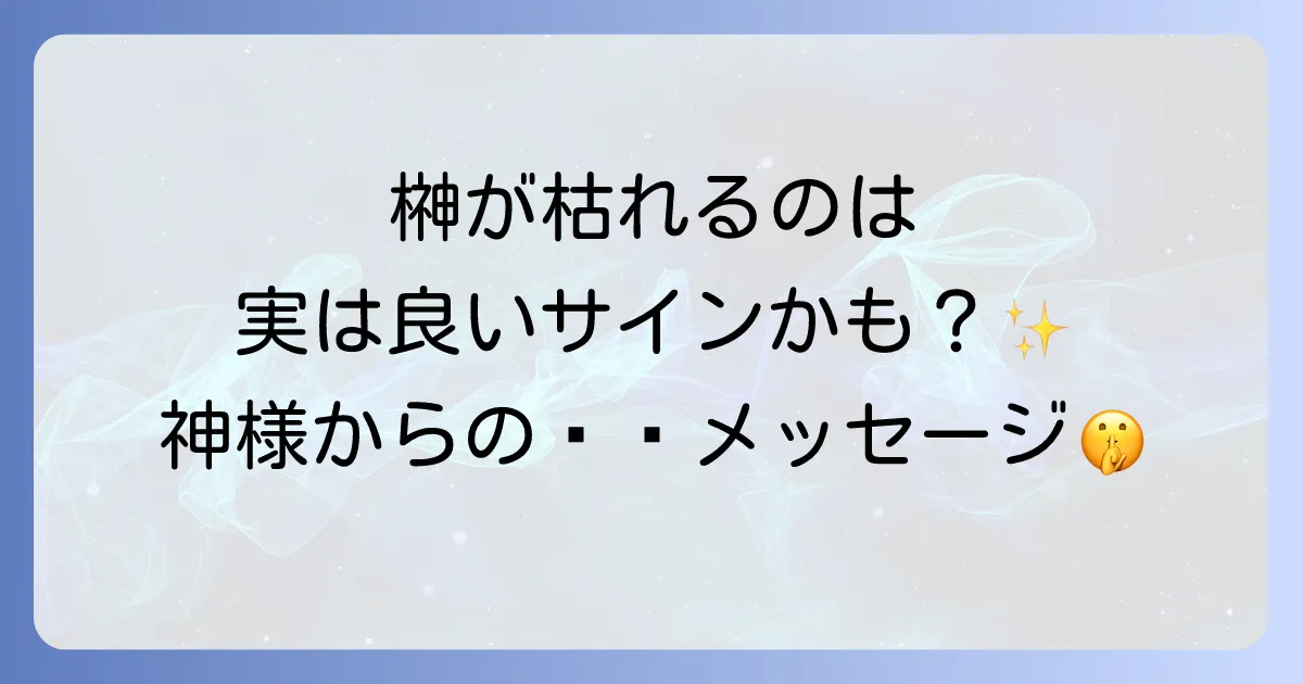 榊が枯れるスピリチュアルな意味とは？神様からのサイン？良い・悪い意味と対処法を徹底解説