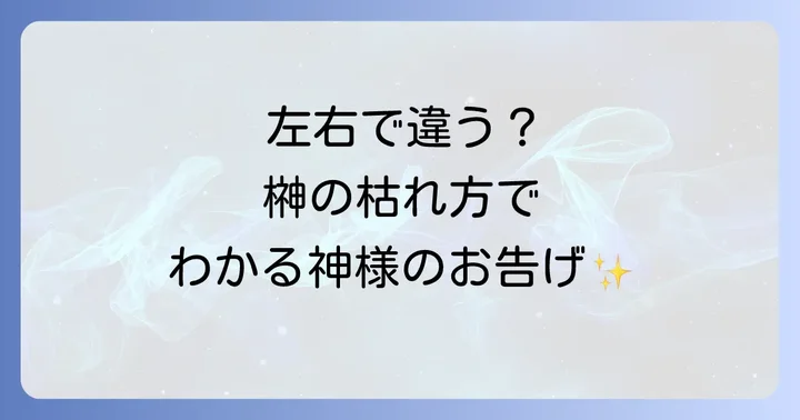 【状況別】榊の枯れ方でわかるスピリチュアルメッセージ