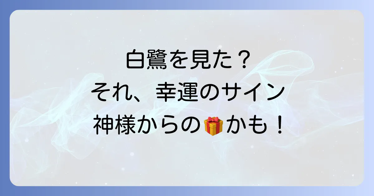 【幸運のサイン】飛んでる白鷺のスピリチュアルな意味とは？神の使いからのメッセージを徹底解説