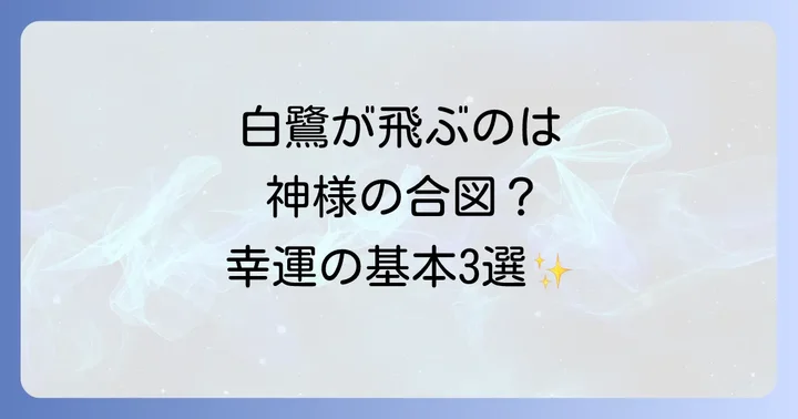 飛んでる白鷺が示すスピリチュアルな基本的な意味3選