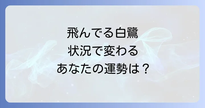 【状況別】飛んでる白鷺が伝えるスピリチュアルメッセージ
