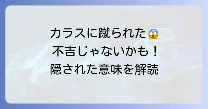 まずは落ち着いて!カラスに頭を蹴られた時に考えられること