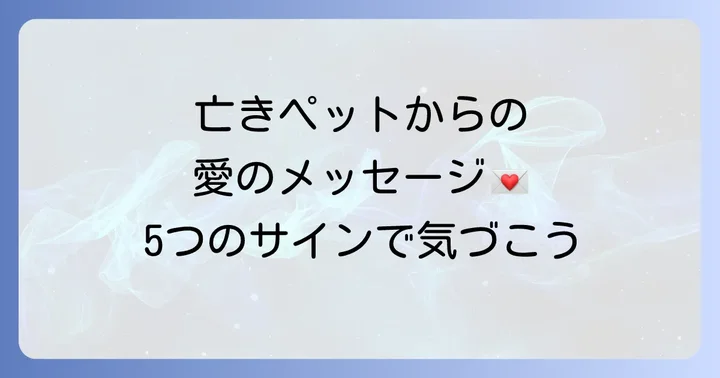 亡くなったペットはあなたの側に。感じてほしい5つのスピリチュアルサイン