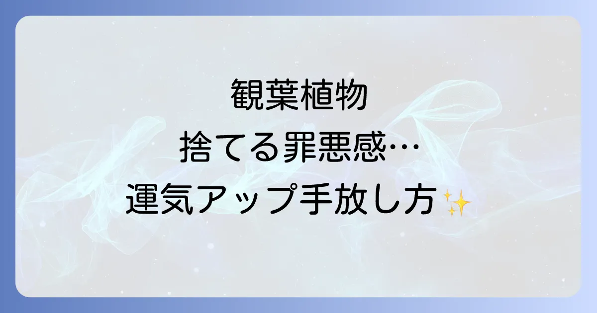 観葉植物を捨てるスピリチュアルな意味を解説！罪悪感を乗り越え運気を高める手放し方