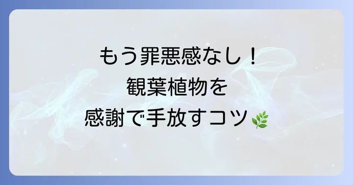 観葉植物を感謝して手放すスピリチュアルな方法