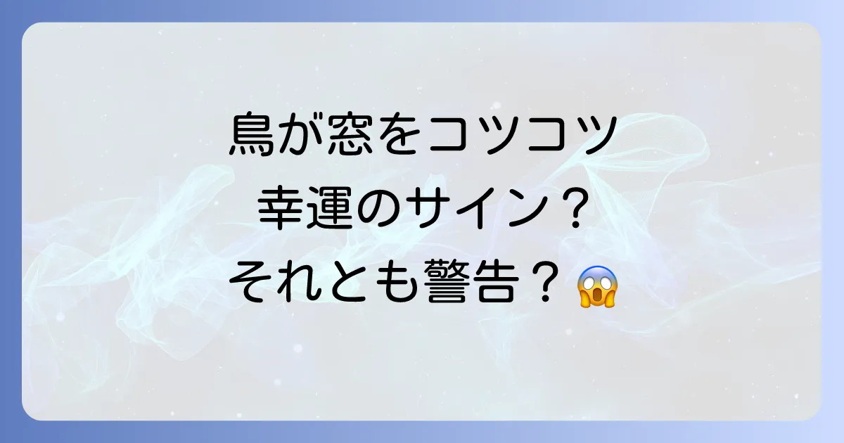 鳥が窓をつつくスピリチュアルな意味とは？幸運のサイン？警告？鳥の種類や状況別のメッセージを徹底解説