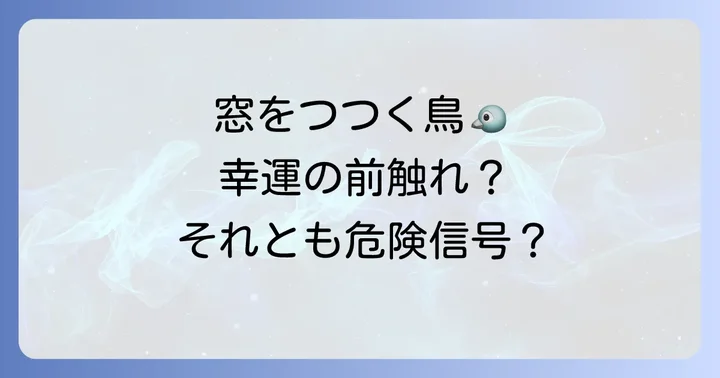 鳥が窓をつつくスピリチュアルな意味の全体像