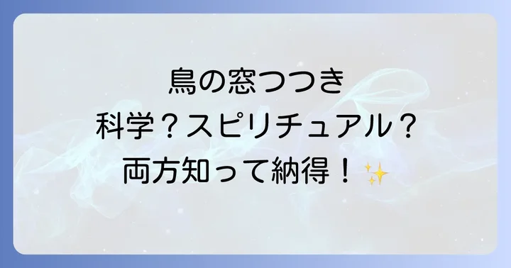 鳥が窓をつつく科学的な理由とスピリチュアルな解釈のバランス