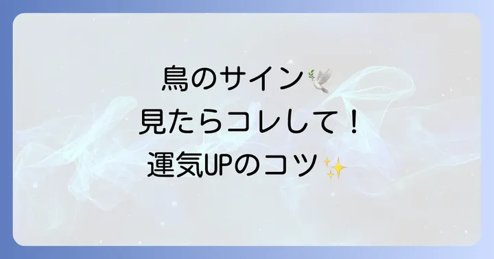 鳥からのメッセージを受け取った時の対処法