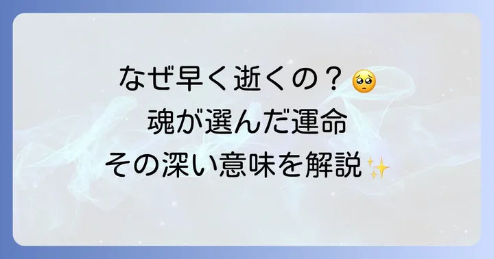 スピリチュアルな視点から見た「死」と「生」
