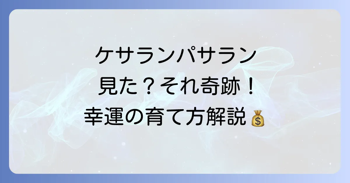 「ケサラン パサラン 見た」あなたへ！スピリチュアルな意味と幸運を引き寄せる方法