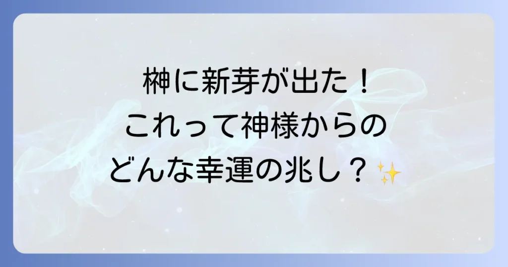 神棚の榊に新芽が出た！スピリチュアルな意味と神様からのメッセージ、大切にする方法