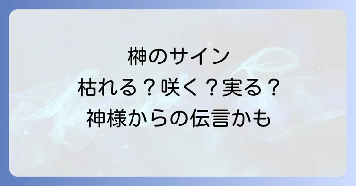 榊の状態が示すその他のスピリチュアルなメッセージ
