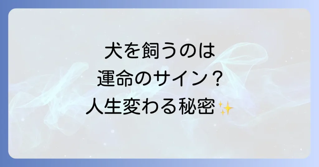 愛犬との出会いは運命のサイン？犬を飼うタイミングのスピリチュアルな意味と前兆を徹底解説
