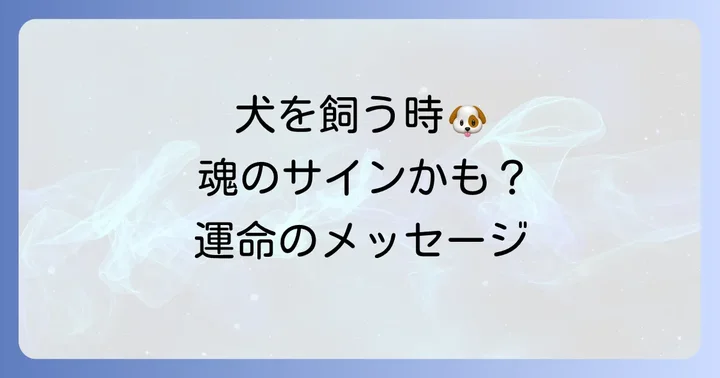 犬を飼うタイミングはスピリチュアルなメッセージ？魂が求めるサインとは
