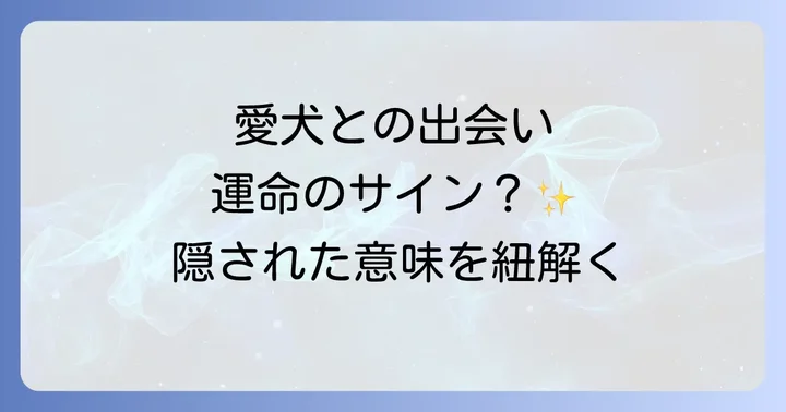 スピリチュアルな視点で見る「犬との出会い」の種類と意味