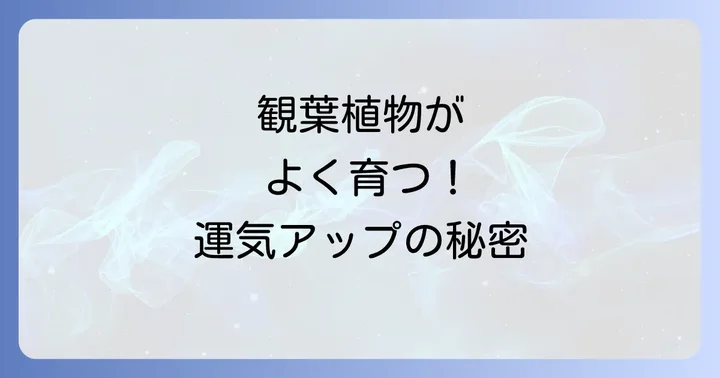 観葉植物がよく育つスピリチュアルな意味とは？