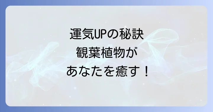運気を高める観葉植物の選び方と種類