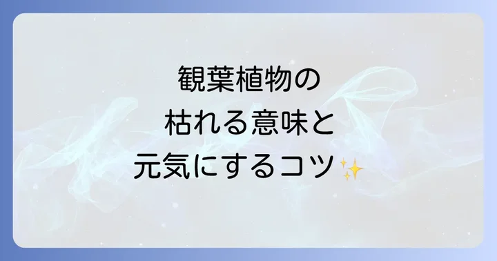 観葉植物が枯れてしまうスピリチュアルな意味と対処法