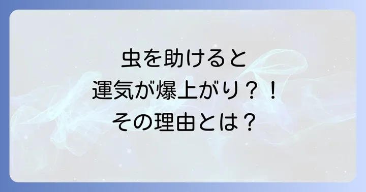状況別！虫からのスピリチュアルメッセージと正しい接し方